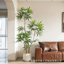 Ԍ���L����Gֲ���Կ�ȸľ�҃ȿ͏d���ֲ���b�ɳ�l���ҕ���[��