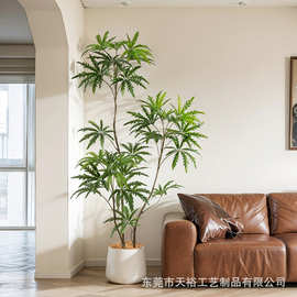 诧寂风仿真绿植盆栽孔雀木室内客厅落地植物装饰沙发旁电视柜摆件