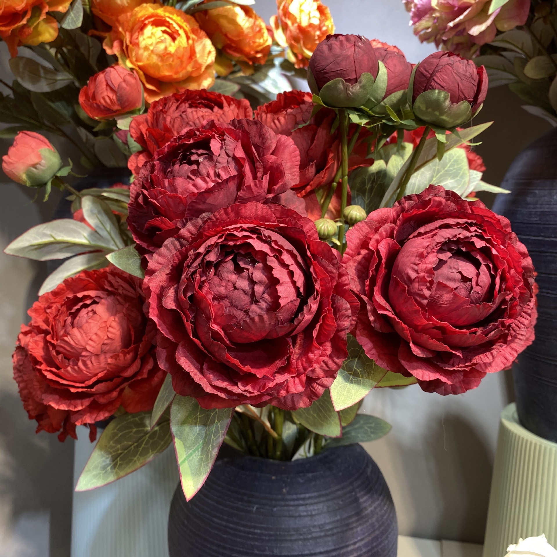 95b6f9ba017de31a9c5734d8050a1b