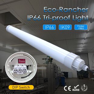 The Fourth Generation European Standard Can Be Connected in Series to Adjust the Power and Color Temperature Ip69K Waterproof Led Tri-Proof Light