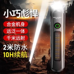 ブラックパンサー 森懐中電灯 強力光 充電式 長距離照射 アウトドア作業灯 磁気吸着 家庭用 長時間駆動 長時間磁気吸着充電