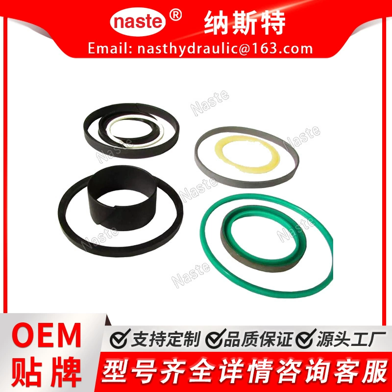 Комплект уплотнения Case 1543269C1 для Case 580L, 580M, 570LXT