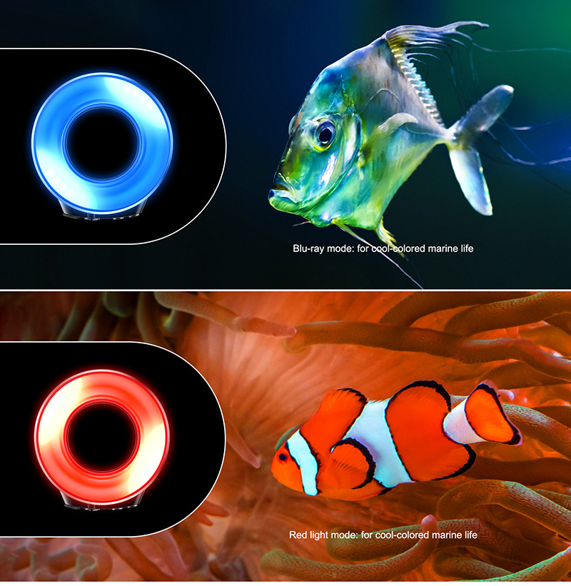 详情图片 (15).jpg