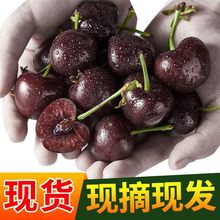 ��̨��������r����ˮ�����a܇���ӬFժJJJJ�������������l�S���l