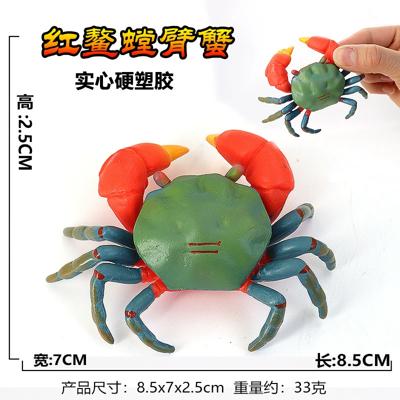 Игрушка, большие морские когнитивные украшения