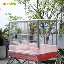 riyoka���Ѽ��B�\���_픺��A�ӸߙM�z���仢Ƥĵ��ȫ���\