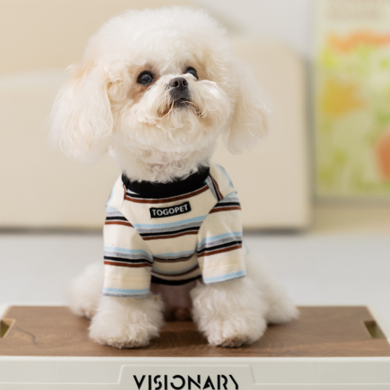 Perro primavera y verano dibujos animados a rayas elefante chaleco de dos patas felino camiseta Teddy Bear adorable ropa de perro