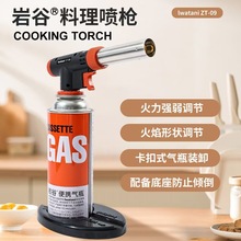 �ҹ�iwatani����ߜ؇���ʽ������������決��˾ZT-09����