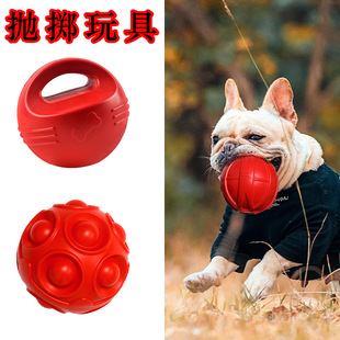 ���R�d���������ҧĥ����TPR�������Ӗ��Ͷ�S���w�P���