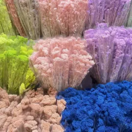 鲜花花艺制品;永生花;干花