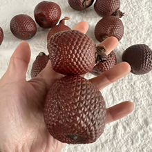 ����Ƥ�����M�ڹ����N��ֲ���ȫ�ɹ� �˱����diy�b� �������