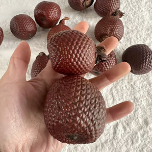 ����Ƥ�����M�ڹ����N��ֲ���ȫ�ɹ� �˱����diy�b� �������