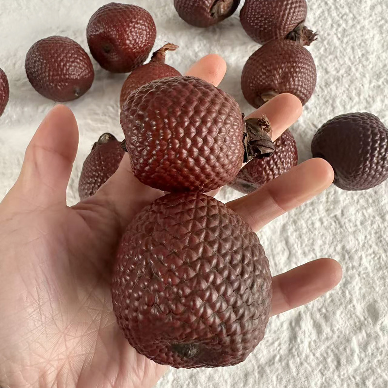 [Snake Skin Fruit] Imported Fruit Seeds and Plants Collection, Dried Fruit Specimens, DIY Decorative Frames, Fruit Collection