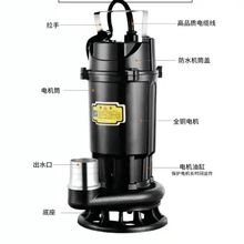 ӏˮиSˮӚ{۱üûSرó220v