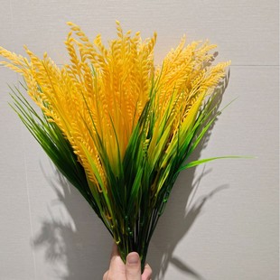 ��������������߈@�ֹ��������b���@�L���Ĕz�Ҿ��b����滨