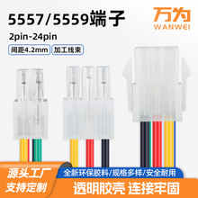 fl5557Ӿ 4.2gЌXB5559늾