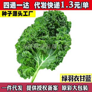 ���¸��{�N�ݷN����ɫ�߲˷N���ļ�ʳ���ͺ������̨���¸��{����