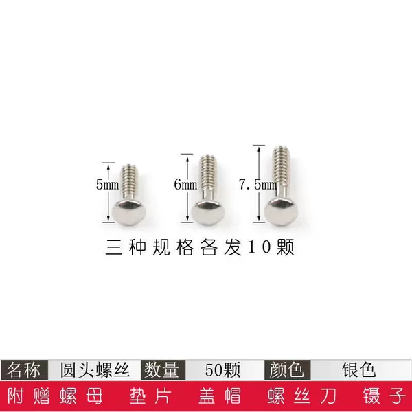 Lens insertion decorative screws [silver]