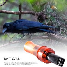 �羳�¿�ģ���f�����T�� Crow whistle�����f���T�D�ڿ���