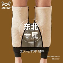 ��ůѝ��ʿ�ﶬ����a�qѝ�|����������40��ѝ����ѝ�ӽq�Ӻ�