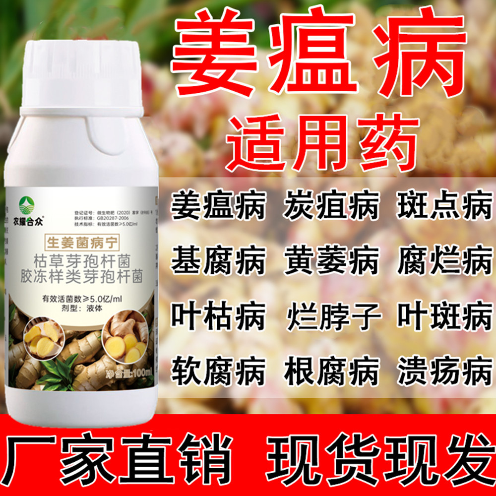 Thuốc đặc trị bệnh hắc bệnh gừng, lưới hắc bệnh gừng, bệnh cổ gừng, bệnh rễ, lá vàng nghệ, bệnh vàng, thuốc diệt nấm, phân lá