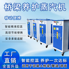 60kw蒸汽发生器18kw电加热蒸汽发生器8kw工程蒸汽桥梁养护机