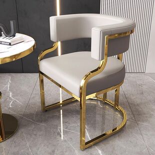 Light Luxury Minimalist Dining Chair Hotel Sales Office Courtyard Reception Mahjong Sofa Chair Nail Salon