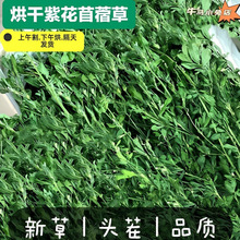 �ϻ���ޣ�����ޣ�����üZ�������������؈���m�i������ʳ