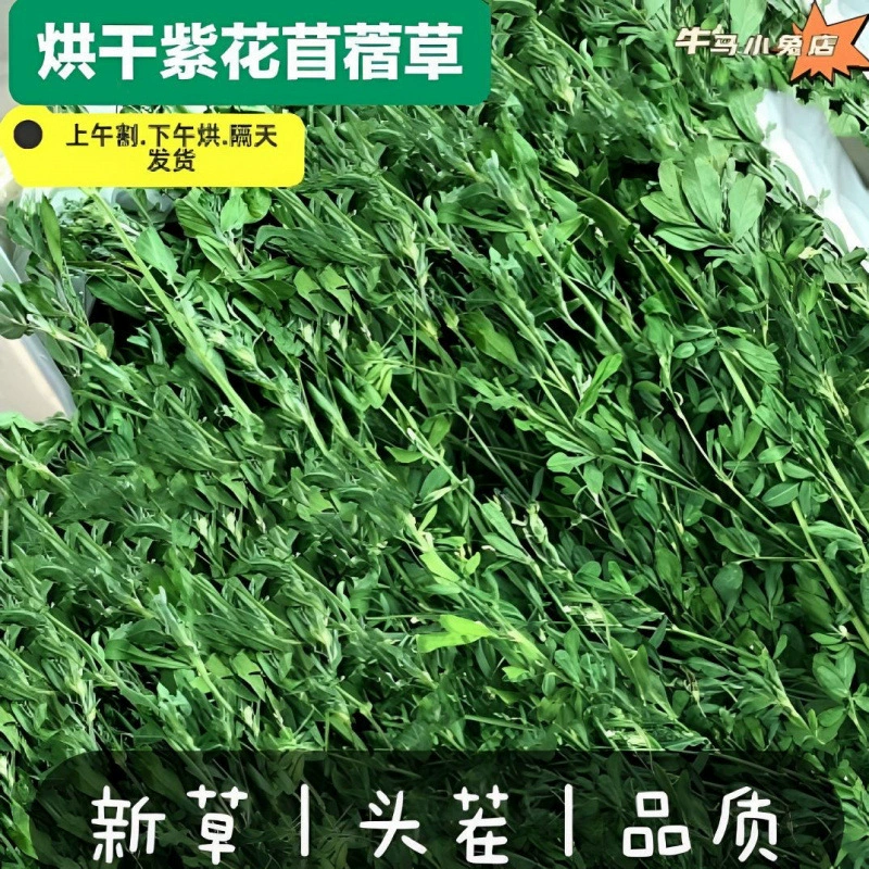 Сушеная люцерна, корм для молодых кроликов, корм для кроликов, сухой корм для кроликов, шиншиллы, морской свинки, закуски для домашних животных