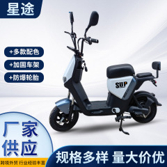 国境を越えた電気自動車の成人軽量小型電気自動車は2輪の世代のステップを減衰して航続する電動自転車の卸売りをします。