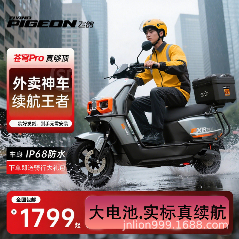No. 9 Same Model Flying Pigeon Sky 2025 New Electric Motorcycle Adult High-Speed Ultra-Long Range Delivery Electric Vehicle