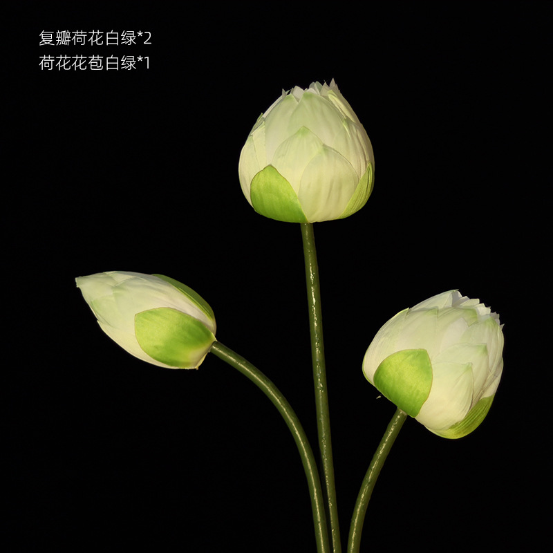 Lotus verde blanco mezclado 3 ramas