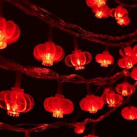 春节流苏红灯笼新年家用过年装饰氛围布置院子彩灯闪灯串灯满天星