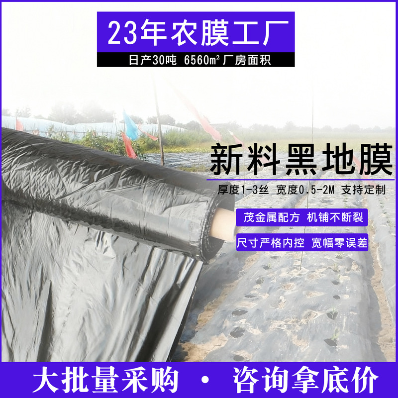 Black Agricultural Mulch Film for Weeding, Perforated Pe Plastic Film, Black Plastic Sheet for Planting Vegetables, Special Agricultural Film