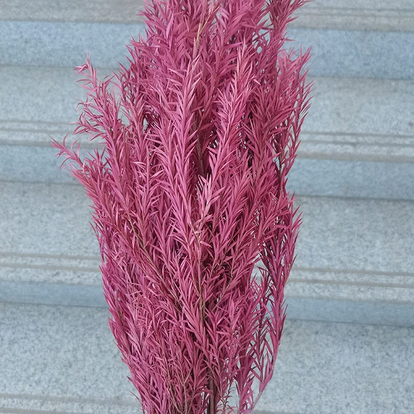 Drifting rose powder
