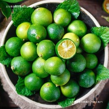 ����С������r��Ƥ���ۮ���ˮ��С������㙎���̲�꡾���]��