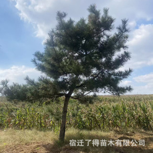 ���l�����辰�ؾ��زĘ��G����������Ҏ���Rȫ���@�G���c�Y���ɘ�