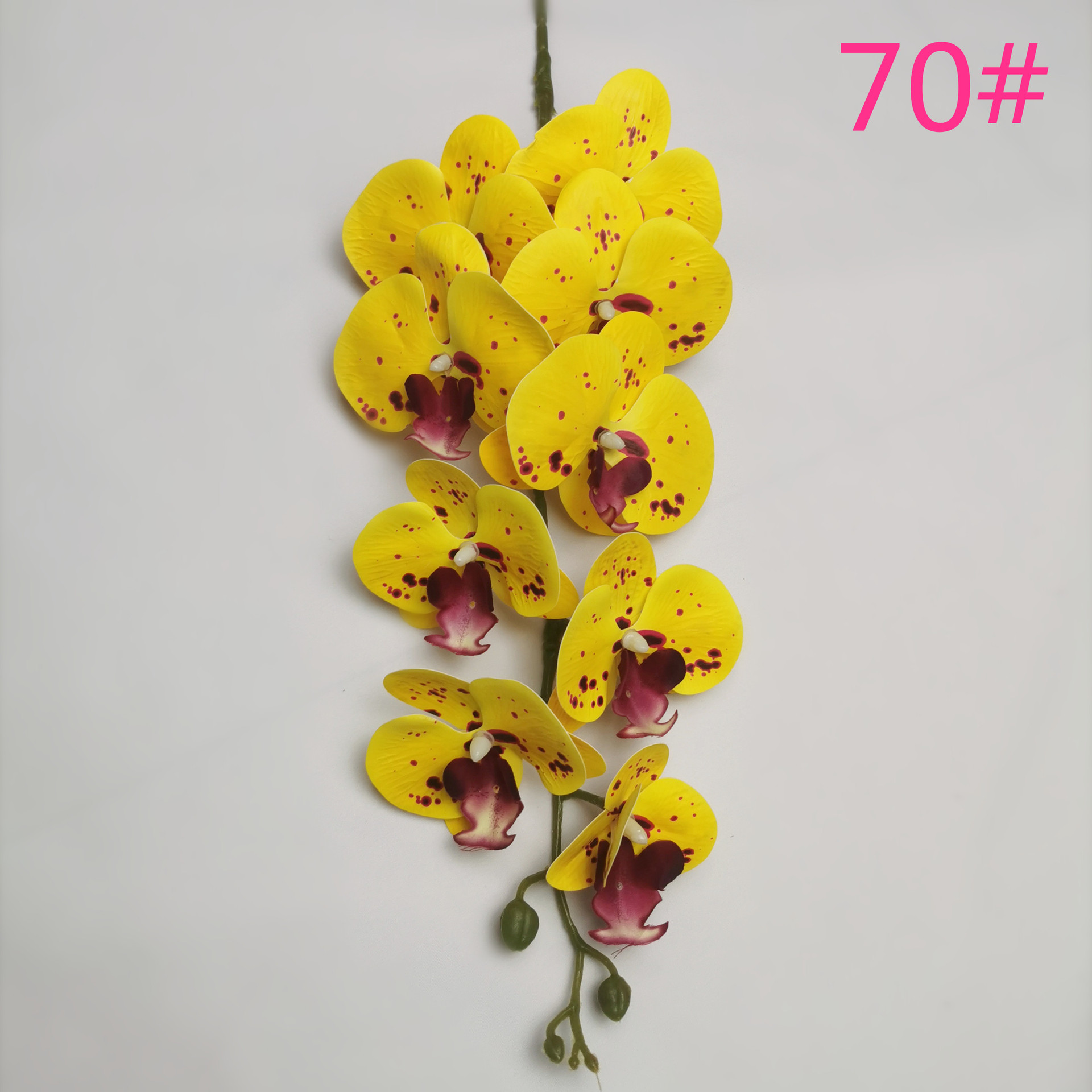 IMG_20220531_183221_副本