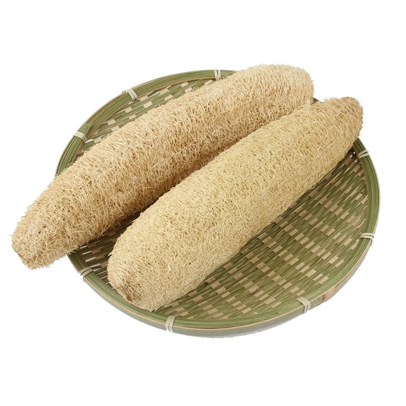 전체 25-30cm (부드러운 멜론)