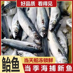 野生青魚圖片 海量高清野生青魚圖片大全 阿里巴巴