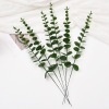 Simulation Yogali single -supported hand feel Eugar money leaf insertion home decoration DIY flower arrangement green plant leaves