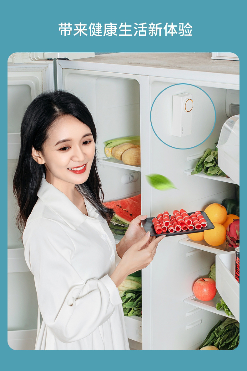 冰箱除味器
