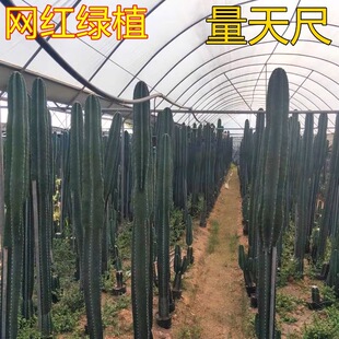 ��������������Բ����������҃��k���ҾW�t���;Gֲ������������
