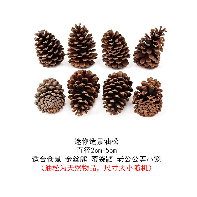 仓鼠玩具苹果木秋千吊床爬梯围栏金丝熊造景用品隧道蜜袋鼯躲避窝|undefined