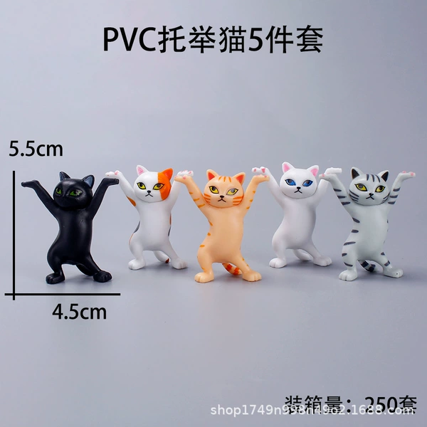 1 price of dancing cats (a multiples of 5 shots)