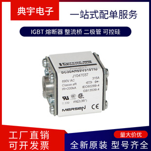 France Fuse Pc73Gb69V10Ctf F 301719   Pc73Gb69V315Ef C 301348