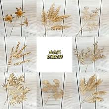 Sl滨 ɫ걧Ͱdiy廨ȼϻ