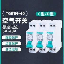 TENGEN天正TGB1N-40双进双出空气开关DPN双线断路器DZ267家用1P+N