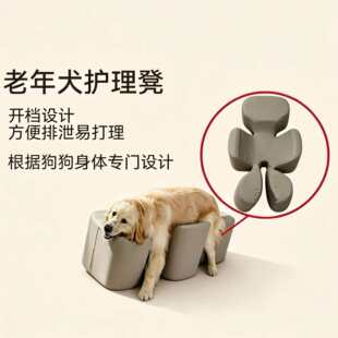 ����Ȯվ���o��ſſ�ʷ����P���o���g�󿵏Ͱc�����o�����팣�É|