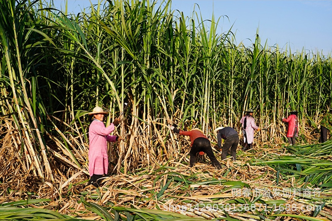 Screenshot_20211126_075147_mh1